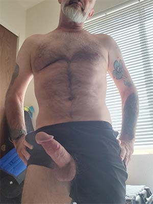 Vieux taureau de Chambéry cherche à défoncer un cul