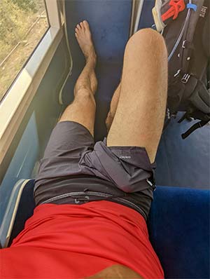 Bite qui prend l'air dans le train